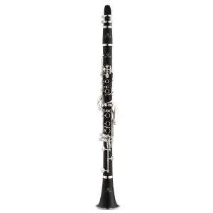 Shop Woodwind